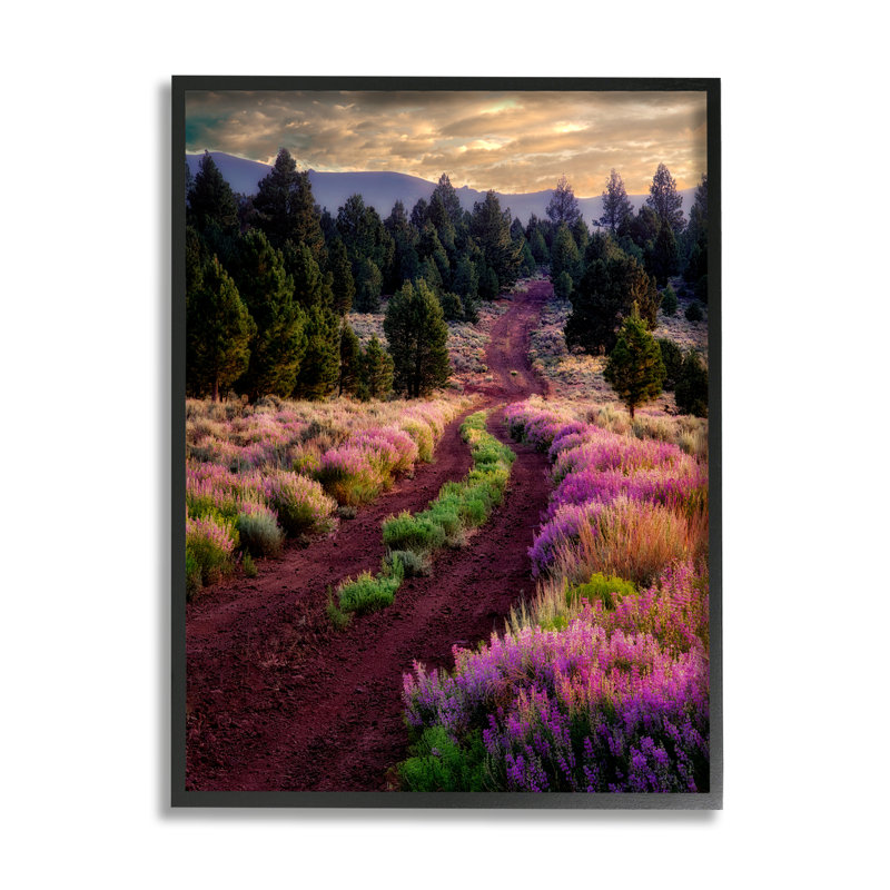 Pink Blooming Meadow Landscape by Dennis Frates - Floater Frame Print on Wood, Midnight Black Framed Giclee