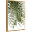 «Palm Leaves Foliage Photo IV» par Amini54, reproduction d'art sur toile encadrée-307420566