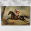 Animaux, paysage, série CCI-641803341
