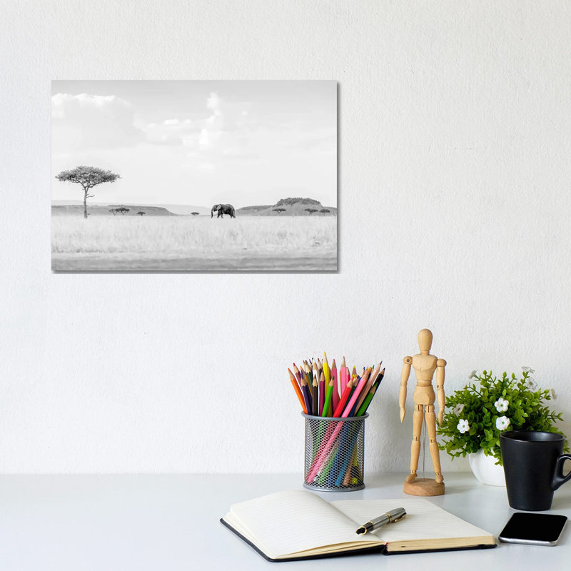 High Key Savannah 1 Piece Wall Art on Canvas, 20.32cm H x 30.48cm W x 1.91cm D, Wrapped Canvas