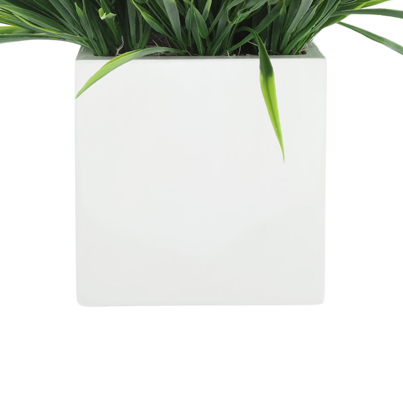 Herbe disposée en pot de fleurs carré