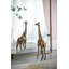 Miroir Contemporary