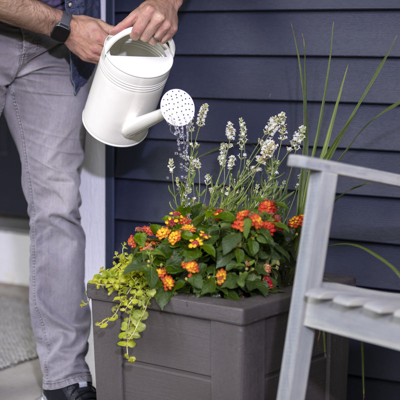 Lakewood Dark Cedar Resin Square Self-Watering Planter Box