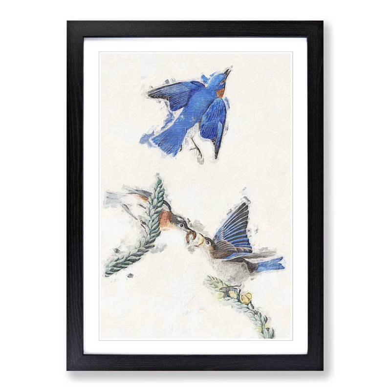 Bluebirds by John Audubon - Picture Frame Painting Print, Black Framed, 48cm H x 36cm W x 2cm D