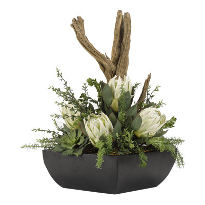 Protea Arrangement in Planter