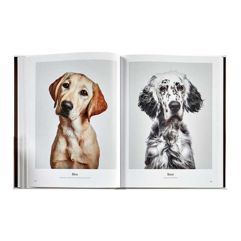 Graphic Image Good Dog Coffee Table Book, Leather, Ivory