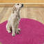 Tapis pour salle de bain Virginio-543441354
