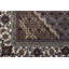 Oriental Area Rug in Brown