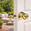 Bouton de porte d'entrée à boule-10310890