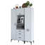Armoire polyvalente