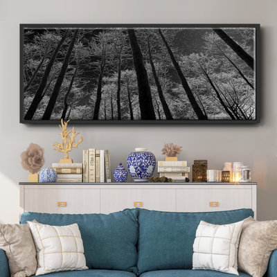 Night Sky- Framed Canvas