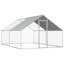 Harworth Chicken Run-1004265334-1028575274