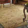 Wool Oriental Area Rug in Brown