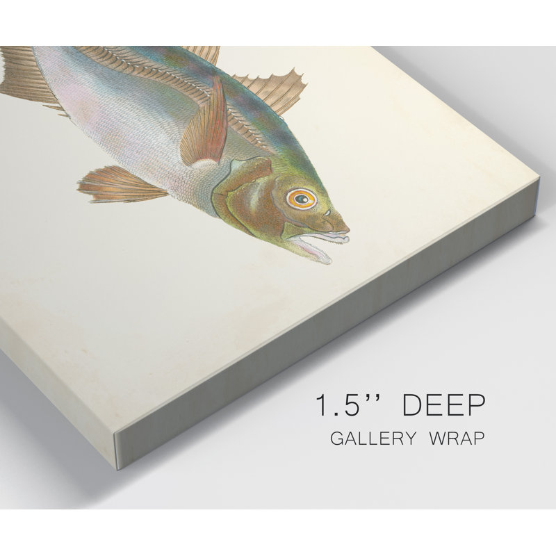 " Donovan Antique Fish III ", 27" H x 18" W x 1" D