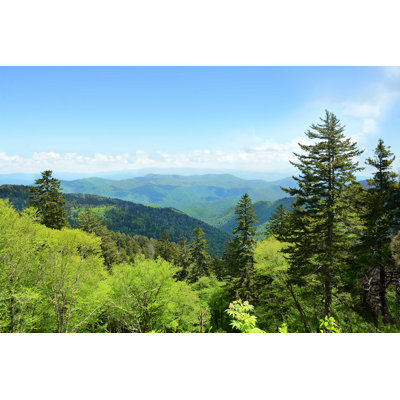 «Summer Mountain Landscape» par Margaretw - photographie sur toile tendue