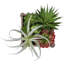 Lot de 2 plantes succulentes artificielles, 25 cm de hauteur, fausse verdure avec pots en bois brun pour la décoration de table