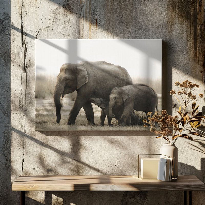 Wrapped Canvas Print, 50.8 cm H x 76.2 cm W