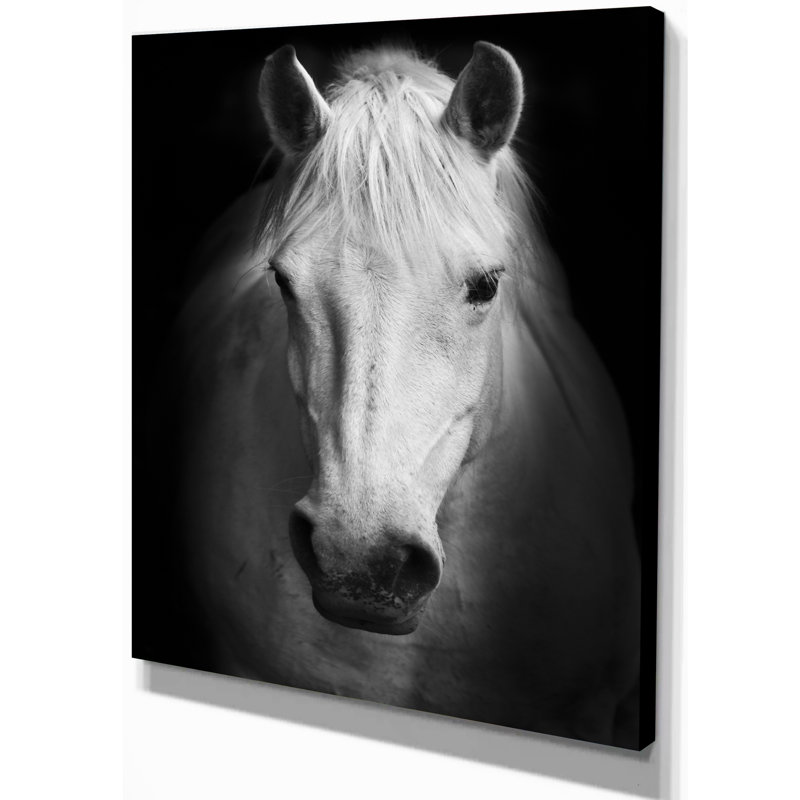 Cheval, reproduction d'art sur toile, cheval noir et blanc, H 12 po x l 8 po, Toile tendue, Sans cadre