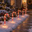 5-Piece Solar Candy Cane Path Light Set, 45 LEDs, Red, 20 in