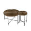 Ensemble de table basse et de table de bout 2 pièces Radial
