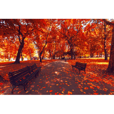 Paysage d'automne d'arbres et de feuilles sur toile par Talip