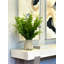 Maitland, faux arrangement Nandina