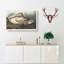A Trumpeter Swan - Wrapped Canvas Painting-55368300