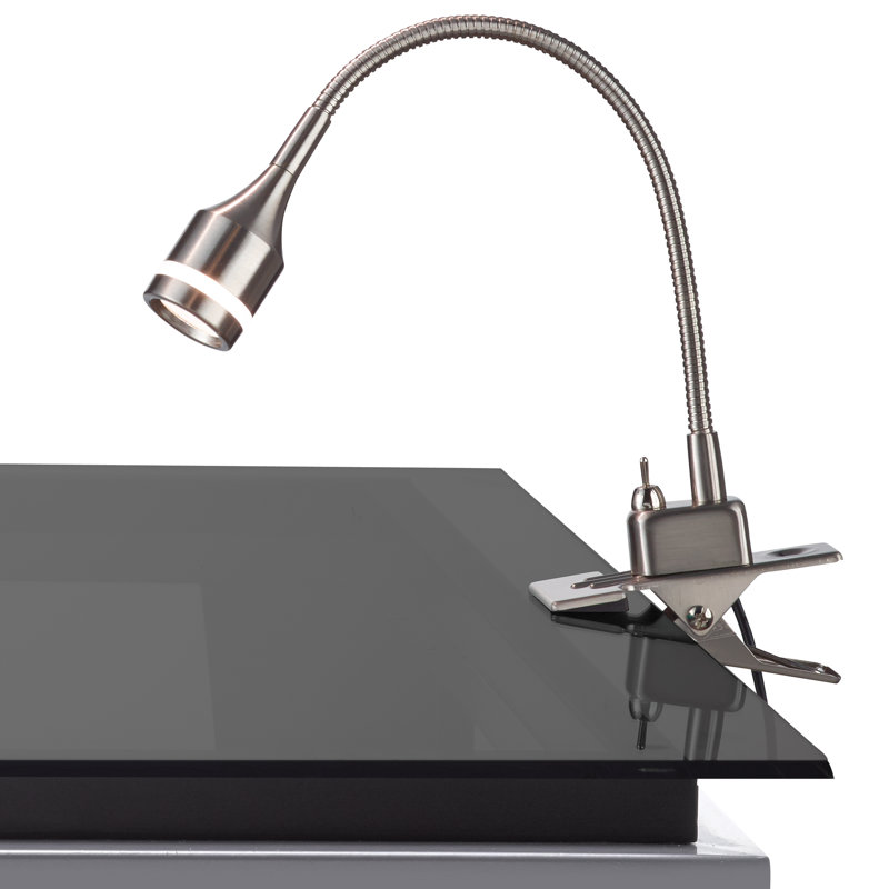 Winnie Adjustable Metal Clip On Lamp, Satin Steel