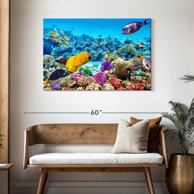 Ocean life Aletra, H 30 po x l 45 po