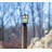 Luz Lantern Head-31460734-31460731