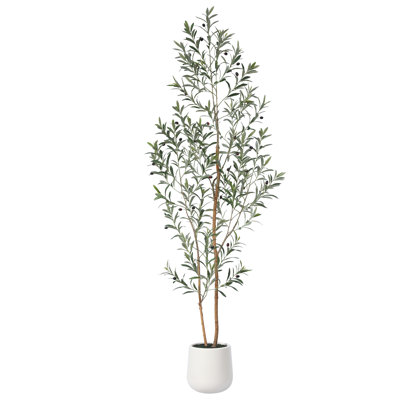 Adcock Artificial Olive Tree with White Planter, Tall Faux Olive Trees with Natural Wood Trunk