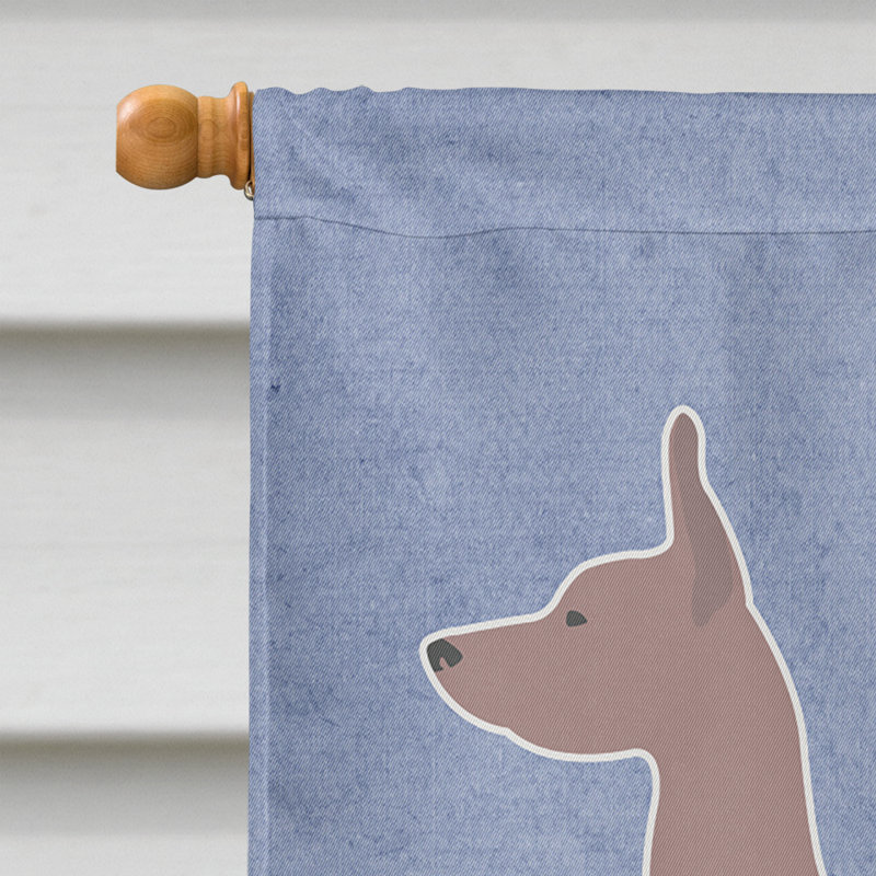 Polyester 2 côtés 40 x 28 po welcome drapeau maison, Dogue argentin