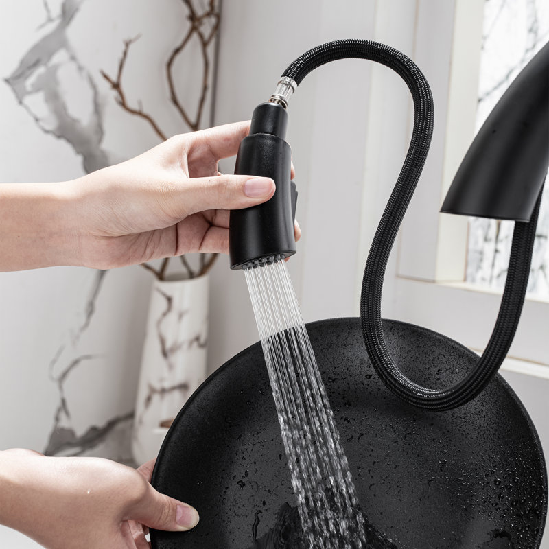 Langsun Pull Down Kitchen Faucet, Matte Black