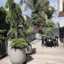 Pot de fleurs Dorlis Fiberstone-930299739-930299748
