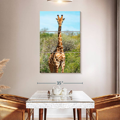 Brampt Awesome South Africa - Giraffe Portrait I