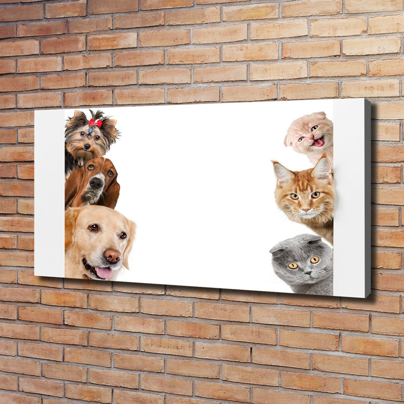 Dogs And Cats - Wrapped Canvas Print
