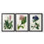 Reproduction encadrée antique de qualité florale II - prête à être accrochée-69879378-69879381