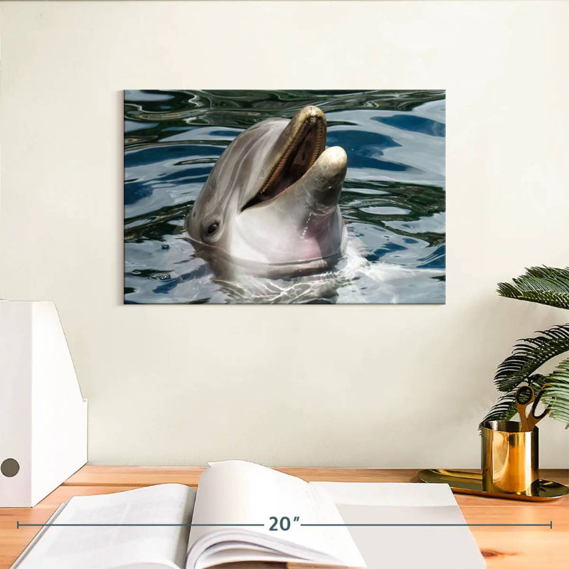 Crowle Peeking Dolphin