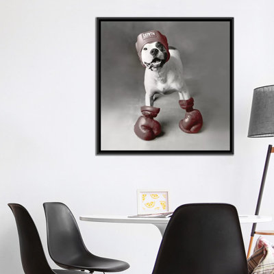 «Boxing Dog» par Rachael Hale, reproduction de photo sur toile tendue