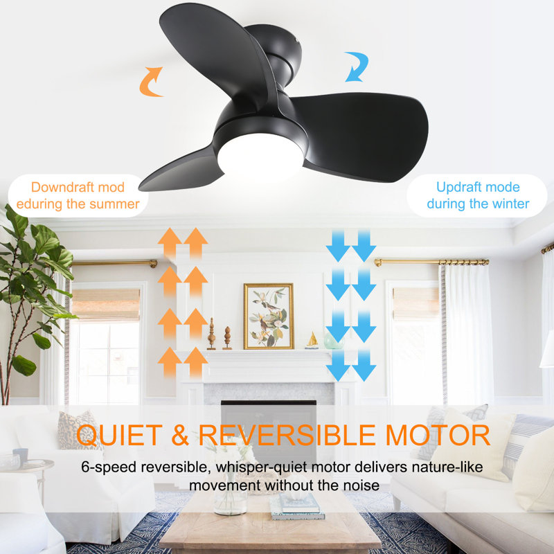 Corabelle 23" 3-Blade Modern Flush Mount Small Ceiling Fan with Remote Control and Light Kit Included, Black, Black
