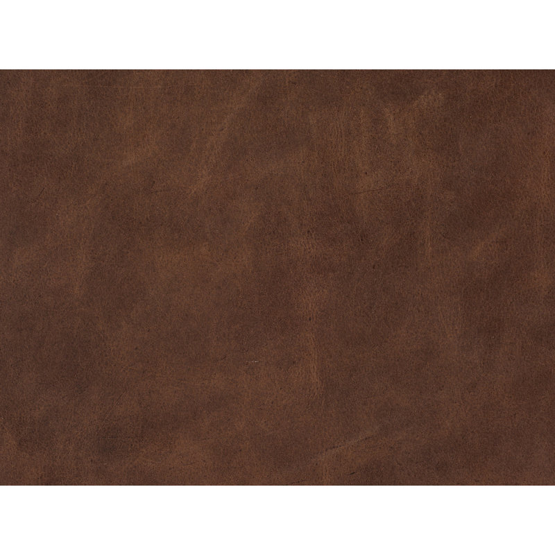 Zion Upholstered 63'' Loveseat, Plantation, Corinthian Cherry Genuine Leather