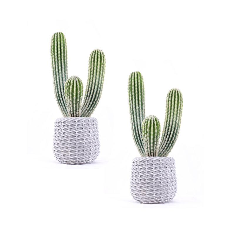 2-Pack 25" Artificial Cactus in Woven like Baskets – Realistic Faux Indoor Décor for Home, Office, or Patio