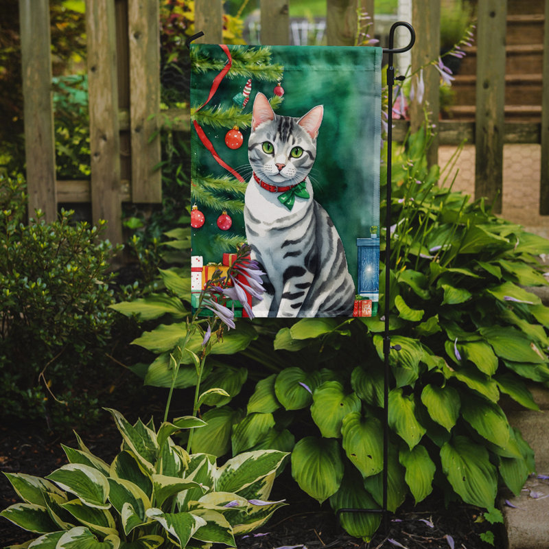 Drapeau de jardin Pixie Bob, American Shorthair