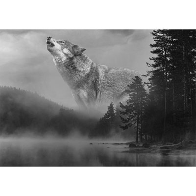 Animal Wallpaper Wall Mural - Forest Secrets
