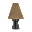 Mannsville Table Lamp in Aged Brass