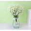 10 pièces de fleurs artificielles pour gitosophila