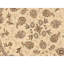 High-Quality Hand-Knotted Ivory Area Rug