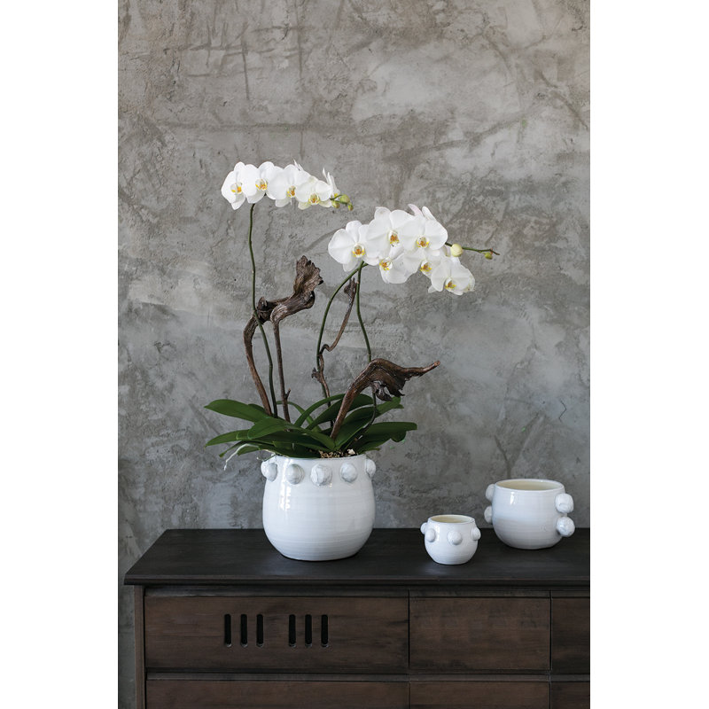Zira Pot Planter, 3.5" H x 5" W x 5" D