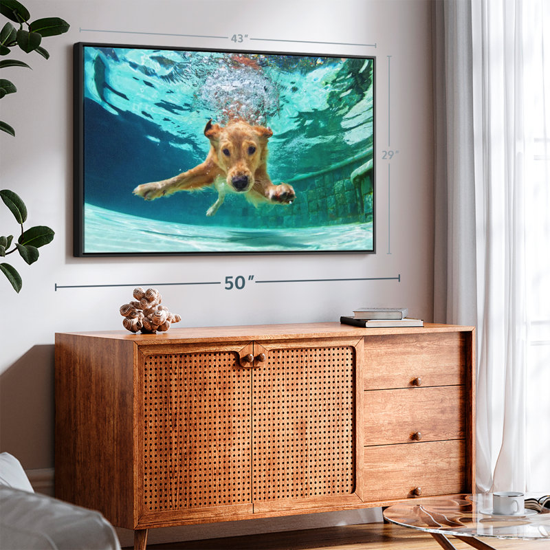 Impression sur toile Golden Retriever Diving, H 29 po x l 43 po