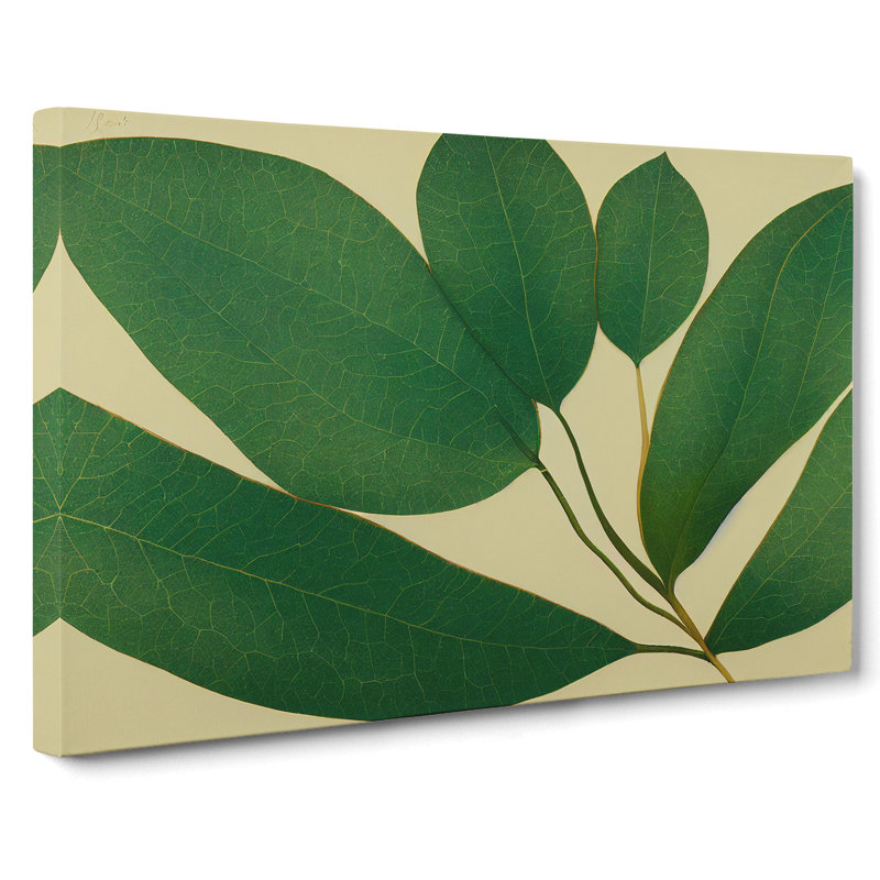 Picturesque Leaf - Wrapped Canvas Print, 35cm H x 50cm W x 3cm D